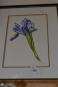 A floral watercolour, framed
