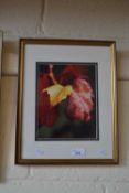 Photograph of autumn leaves, framed and glazed