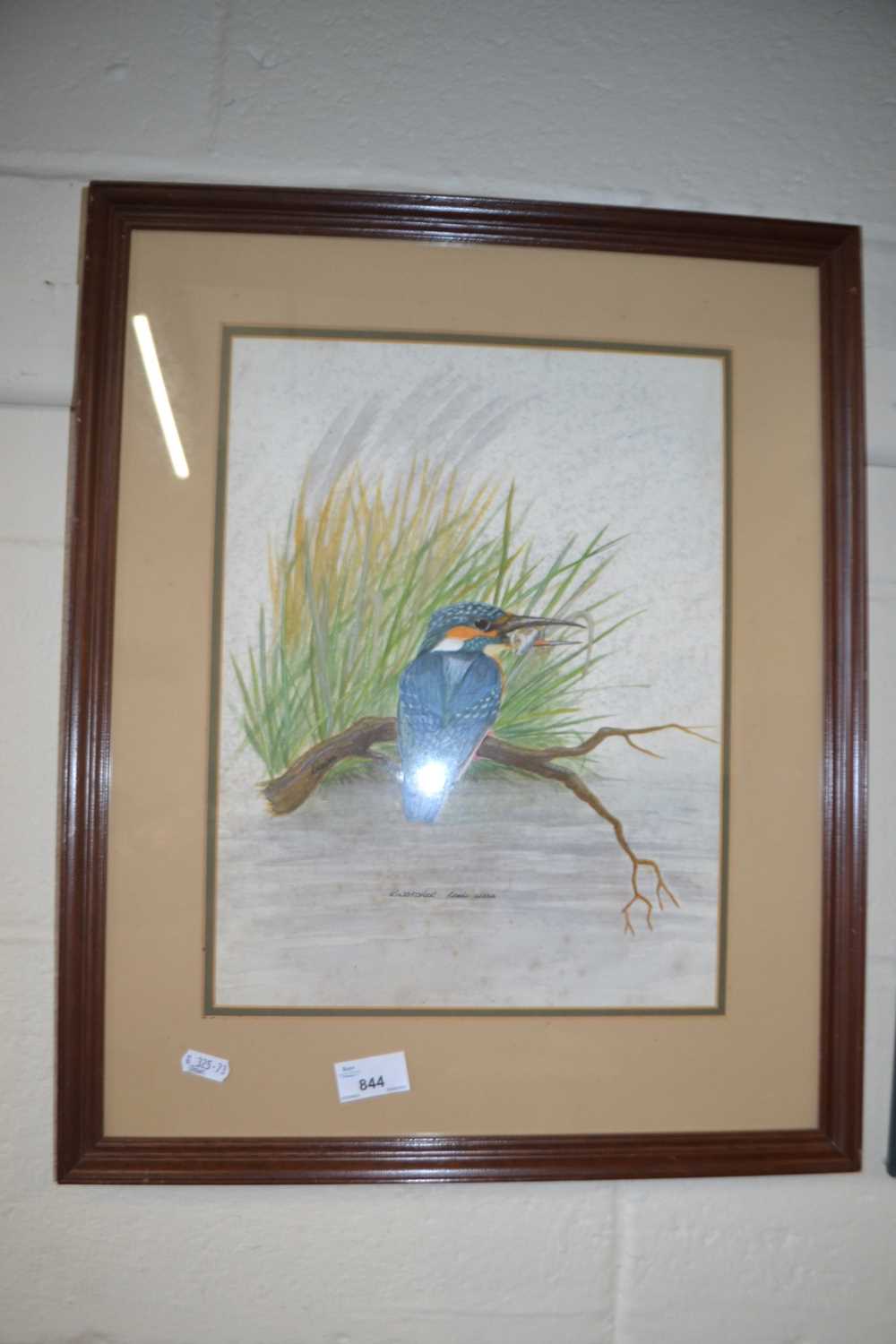 Study of a kingfisher, watercolour, framed and glazed