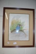 Study of a kingfisher, watercolour, framed and glazed