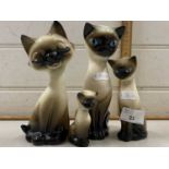 Four various pottery cats