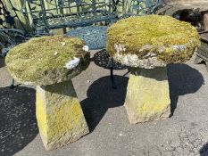 Two staddle stones of slightly differing design, both with heavily moss covered tops, one top