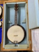 Vintage banjo