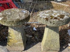 Near pair of staddle stones with weathered tops with lichen and moss, tops 47cm and 48cm diameter