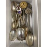 Mixed Lot: Various collectors spoons