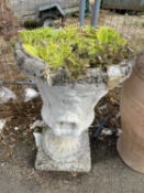 Painted concrete pedestal urn, 81cm high