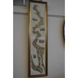 Tombleson's Panoramic map of the Thames and Medway, framed and glazed, approx 122cm hig