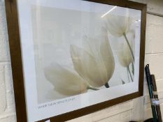 Photograph of white tulips by Spencer Jones, framed and glazed