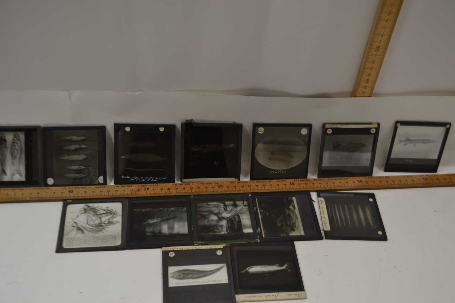 Box of glass photographic slides