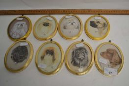 G B Hayton - Group of eight various portraits, various dogs