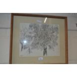 Pen and ink study of a tree, framed and glazed