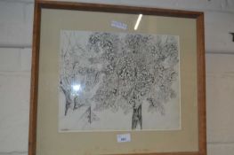 Pen and ink study of a tree, framed and glazed