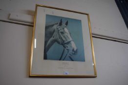 Signed limited edition print of Aldaniti, 132 of 580, signed by Martyn Bailey