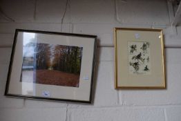 Photograph of an autumn woodland, framed and glazed together with a brief history of a new hat,
