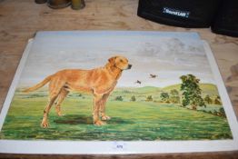 Study of a golden retriever, acrylic on board, unframed together with a reproduction print of a