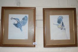 Two coloured prints, Kingfisher and a Bluetit