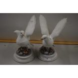 A pair of Andrea porcelain doves