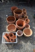Quantity of terracotta planters