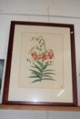 Large botanical print, Tiger Lilies, framed and glazed