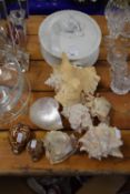 Mixed Lot: Assorted sea shells and a white ceramic vegetable dish