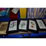 Four framed floral prints and another (5)