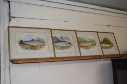 Set of four coloured prints, a trout and salmon