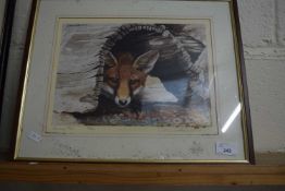 Coloured print, Peeping Fox, framed and glazed