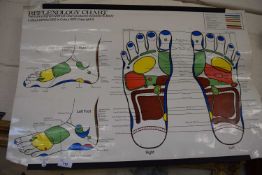 Reflexology chart for the feet