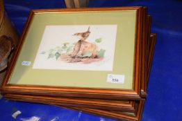 Six framed and glazed bird prints