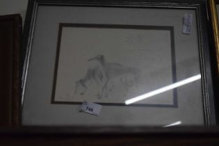 Study of greyhounds, pencil sketch, framed and glazed
