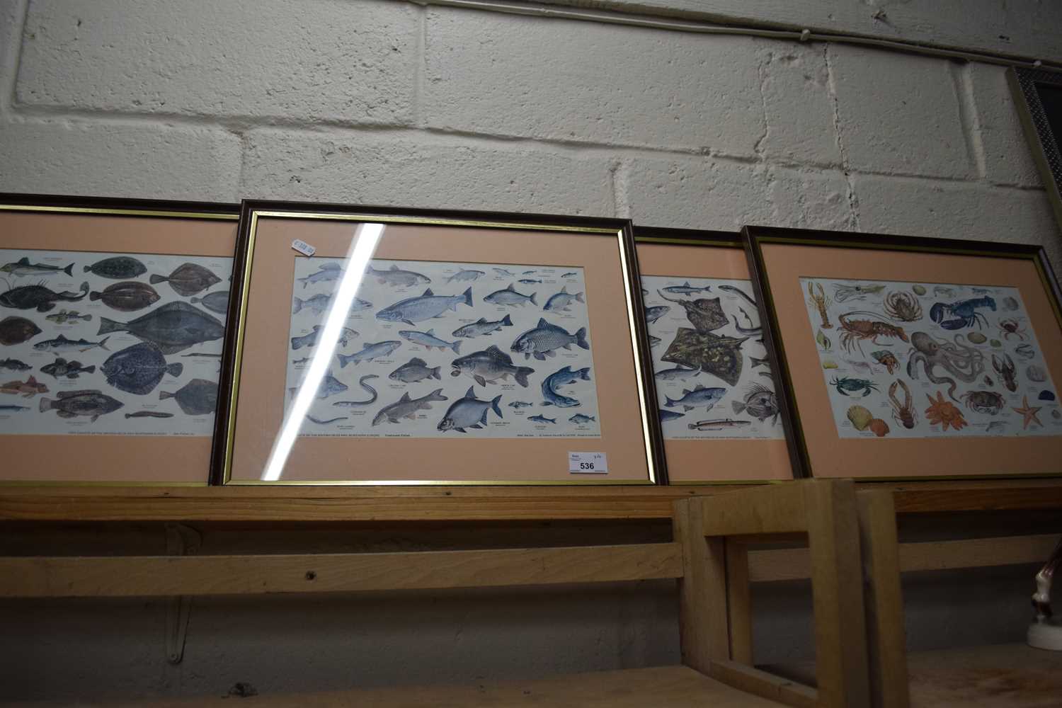 Four Natural History prints