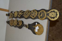 Two leather straps of various horse brasses