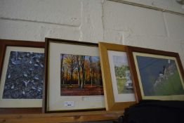 Photograph of woodland, Felbrigg, November 2012, together with two others of birds and a watercolour
