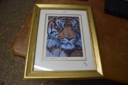 Stephen Gayford, picture of tiger, numbered 447/950