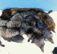 Three fox fur stoles, (3)
