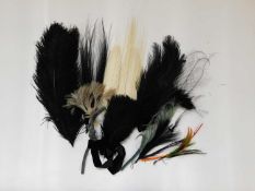 A group of milleners/haberdashers feathers