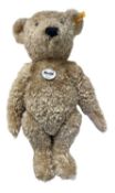 A Steiff teddy bear, 'Elmar', with original chest tag and ear button.