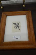 Robert Gibbings, small black and white engraving of a magpie, maple framed
