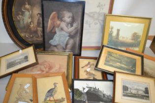 Mixed Lot: Various assorted framed pictures to include ornithological prints and others