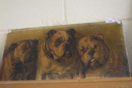 Study of three bulldogs, oleograph on canvas, indistinctly signed, unframed