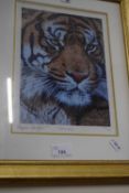 Intensity by Stephen Gayford, limited edition, 447 out of 950, signed in pencil, framed