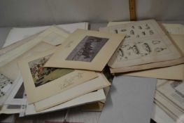 Folio of various prints, book plates and others to include a range of natural history and others