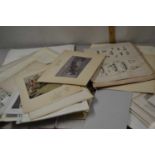 Folio of various prints, book plates and others to include a range of natural history and others