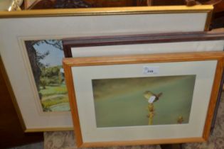 Mixed Lot: Watercolour study by Nora Johnston together with two photographic prints (3)