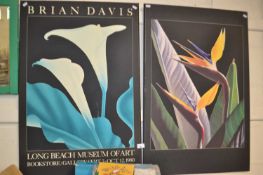 An exhibition poster for Brian Davis Longbeach Museum of Art 1980 and another (2)