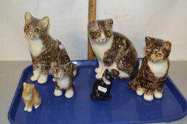 Collection of Winstanley and other pottery cats