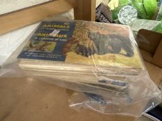 Quantity of collectors cigarette cards in albums
