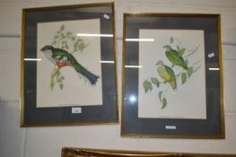 Pair of coloured prints, tropical birds, gilt framed