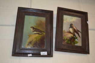 Pair of bird studies, oil on panel, framed