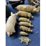 Six graduated brass model pigs together with a further painted iron model pig and a similar